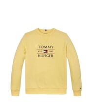 TOMMY HILFIGER TH KIDS Sweat-shirt &agrave; col rond imprim&eacute; citronnelle - B&eacute;b&eacute; Sweat - 4