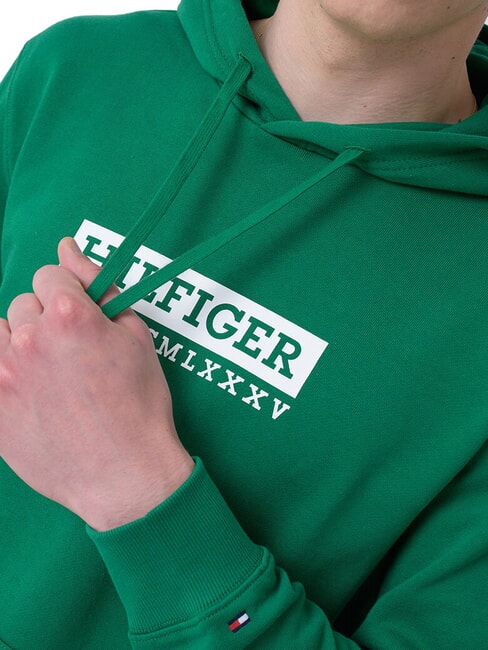 TH Sweat &agrave; capuche imprim&eacute; nouveau vert - Pulls molletonn&eacute;s