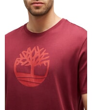 TIMBERLAND KBEC RIVER T-shirt &agrave; manches courtes Bourgogne - T-shirt - 3