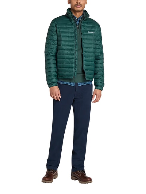 AXIS PEAK Veste pour homme pignons verts - Vestes pour hommes