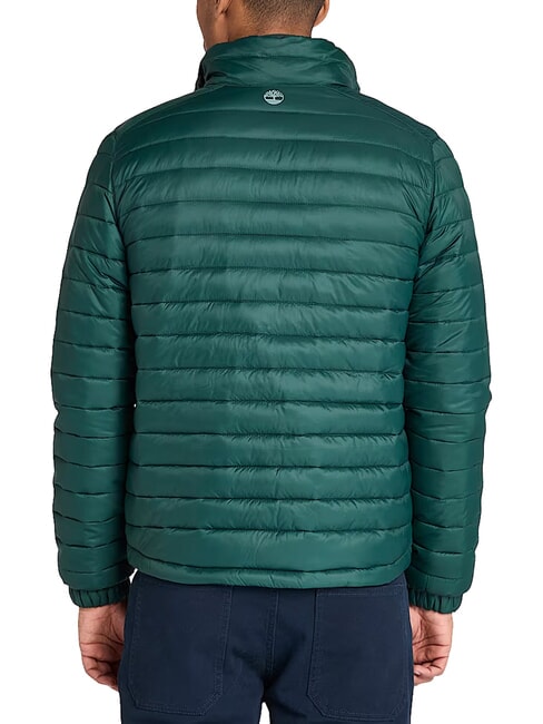 AXIS PEAK Veste pour homme pignons verts - Vestes pour hommes