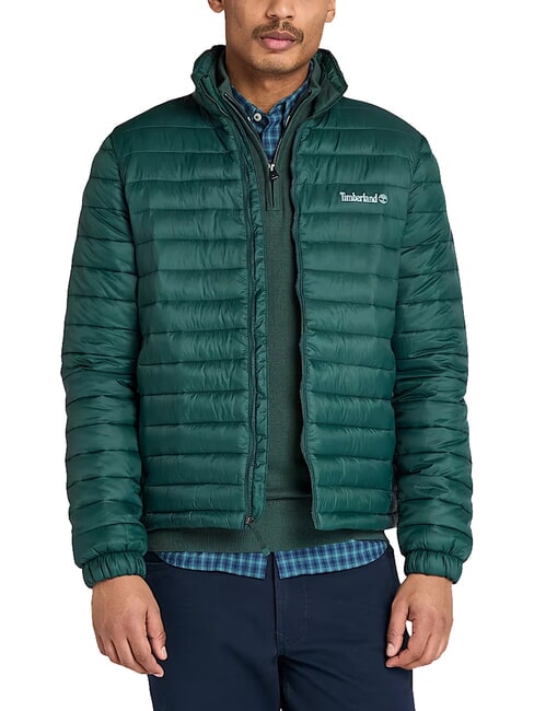 AXIS PEAK Veste pour homme pignons verts - Vestes pour hommes