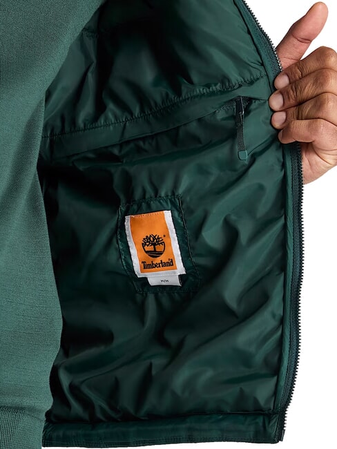 AXIS PEAK Veste pour homme pignons verts - Vestes pour hommes
