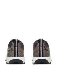 TIMBERLAND WINSOR TRAIL Baskets en cuir mixte - Chaussures Homme