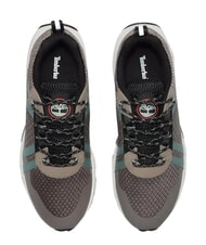 TIMBERLAND WINSOR TRAIL Baskets en cuir mixte maille taupe - Chaussures Homme - 4