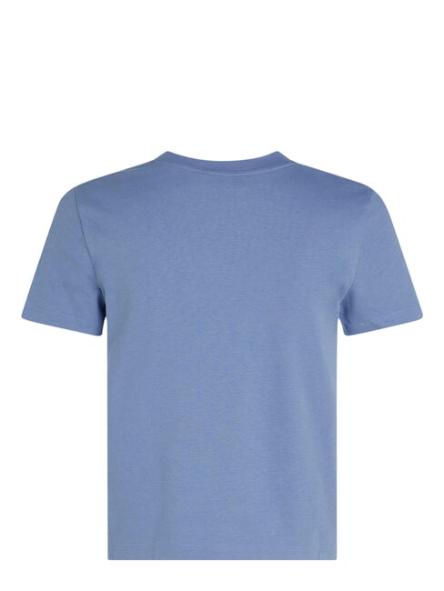 PLACED INSTITUTIONAL T-shirt &agrave; manches courtes bleu - T-shirt