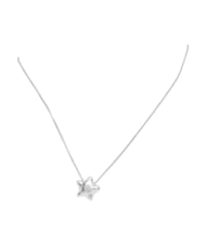 GUESS ICONIQUE Collier en acier ARGENT - Colliers - 2