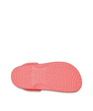 CROCS CLASSIC SABOT U Sandale goyave - Chaussures unisexe - 5