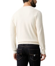 GUESS MASON PRINTED pull &agrave; col rond - Pulls pour hommes