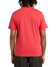 TIMBERLAND KENNEBEC RIVER LINEAR LOGO T-shirt en cotton Beaut&eacute; am&eacute;ricaine - T-shirt - 2