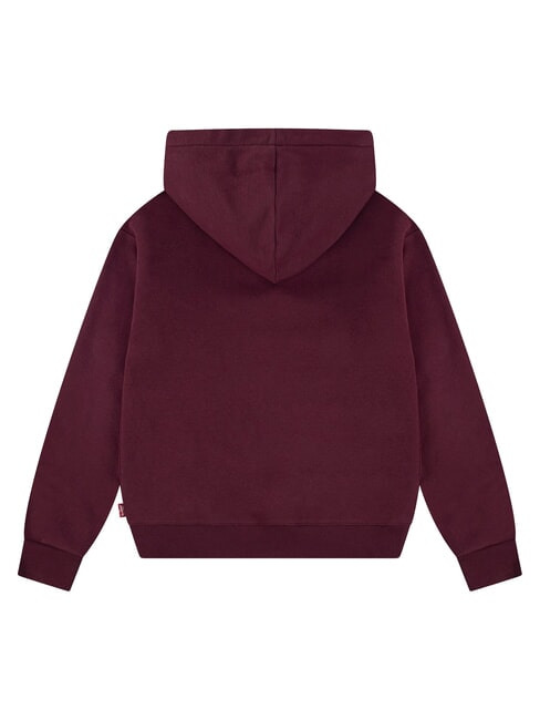 BATWING Sweatshirt &agrave; capuche truffe au chocolat - B&eacute;b&eacute; Sweat