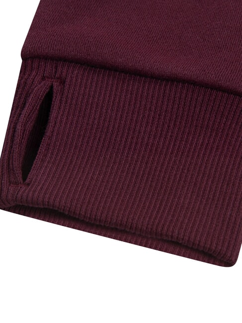 BATWING Sweatshirt &agrave; capuche truffe au chocolat - B&eacute;b&eacute; Sweat