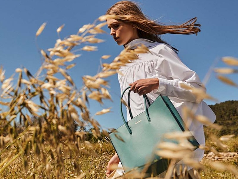 COCCINELLES-g&eacute;n&eacute;rique 24 septembre