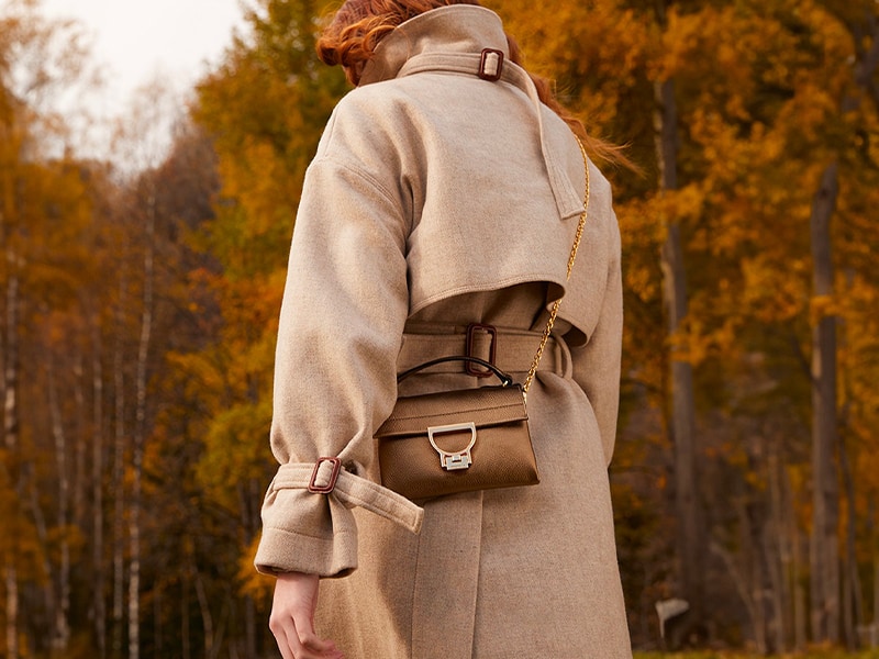 COCCINELLES-générique HIVER.24